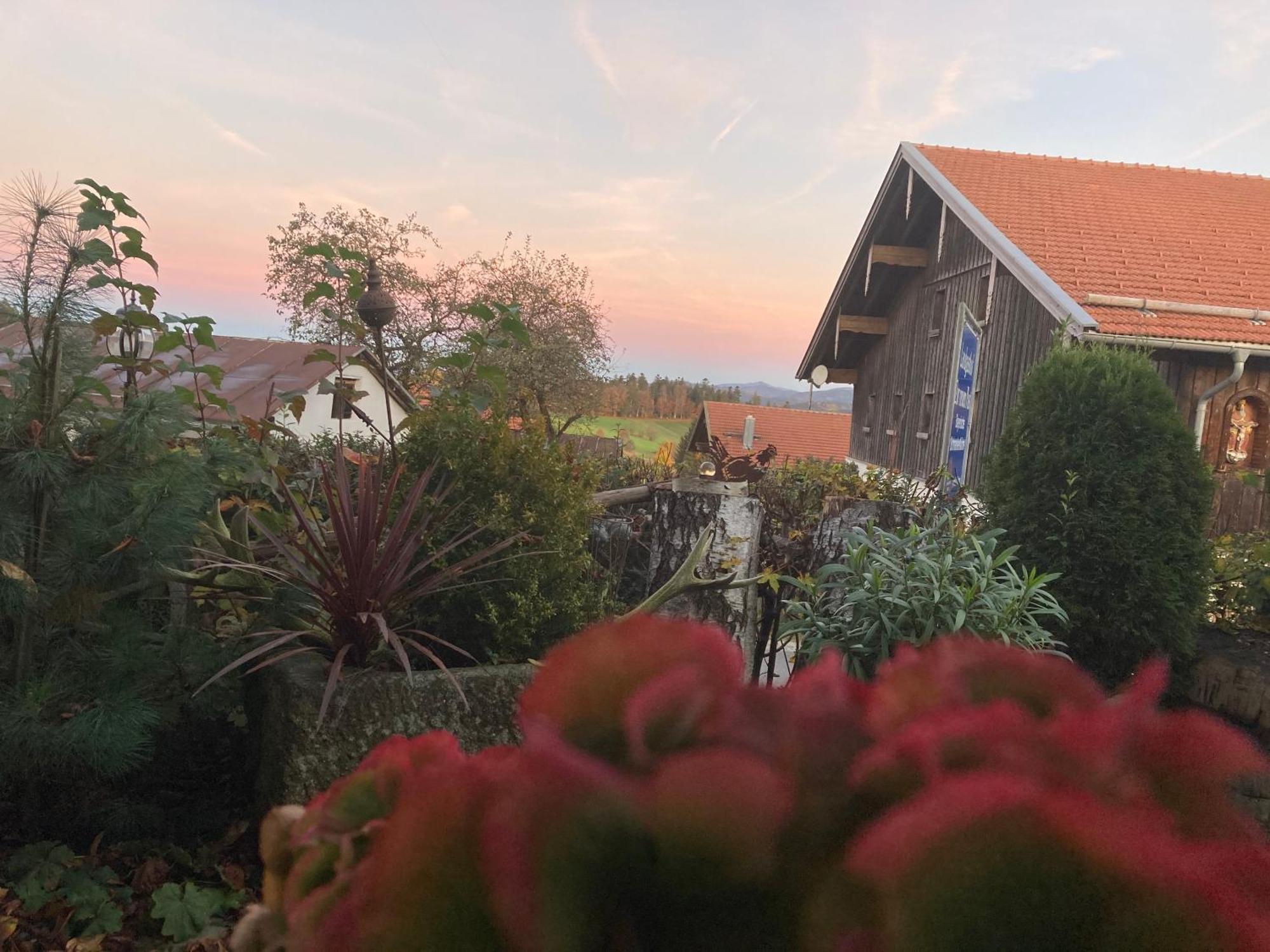 Zur Neuen Post Landgasthof Herzogsreut Luaran gambar